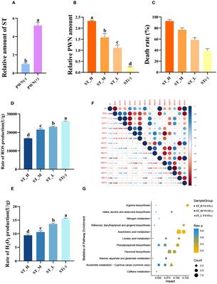 The novel nematicide chiricanine A suppresses Bursaphelenchus xylophilus pathogenicity in Pinus massoniana by inhibiting Aspergillus and its secondary metabolite, sterigmatocystin